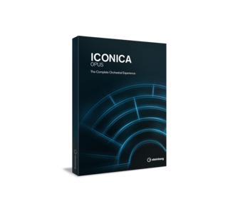 Steinberg Iconica Opus изображение/фото/картинка